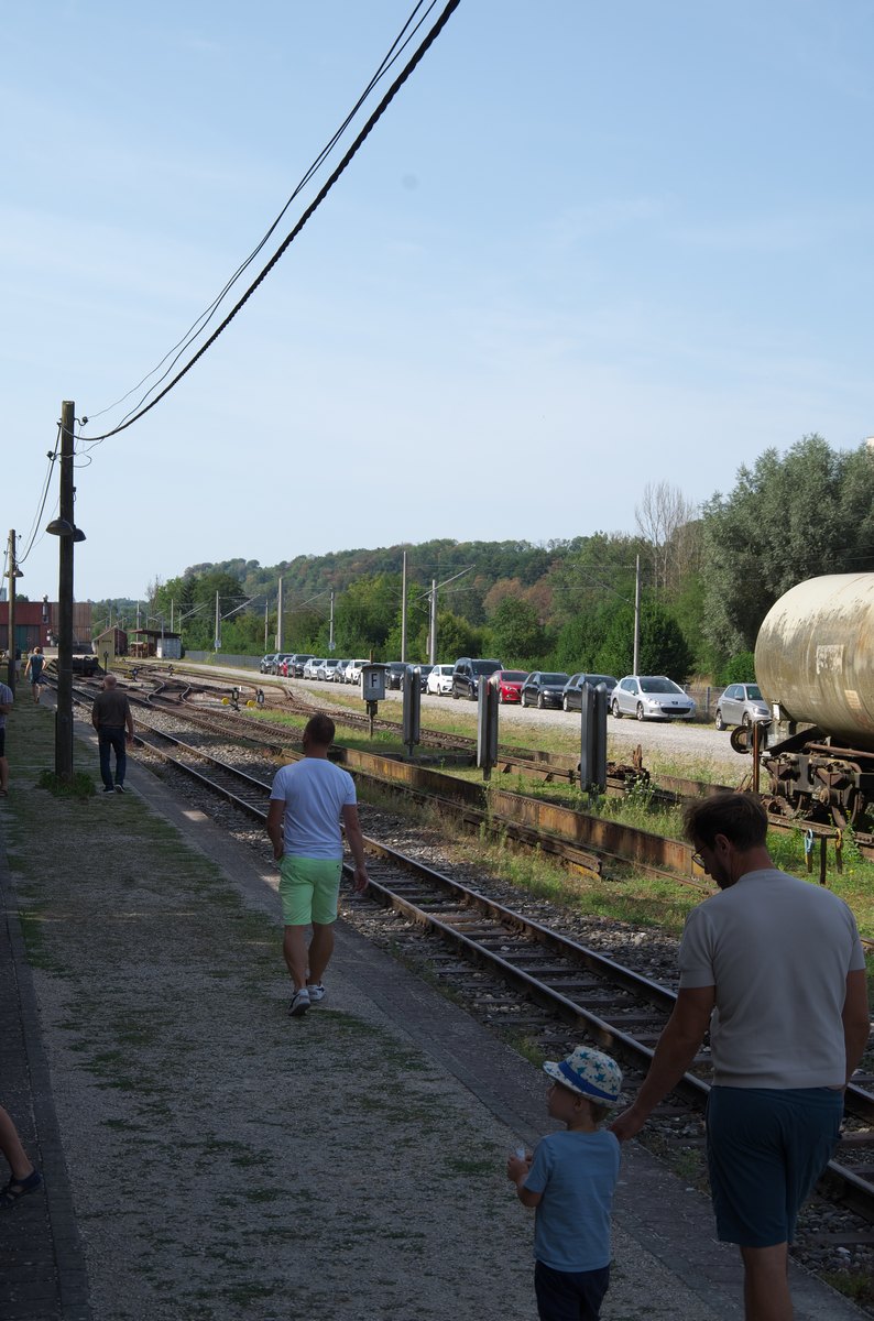 imgp8977.jpg