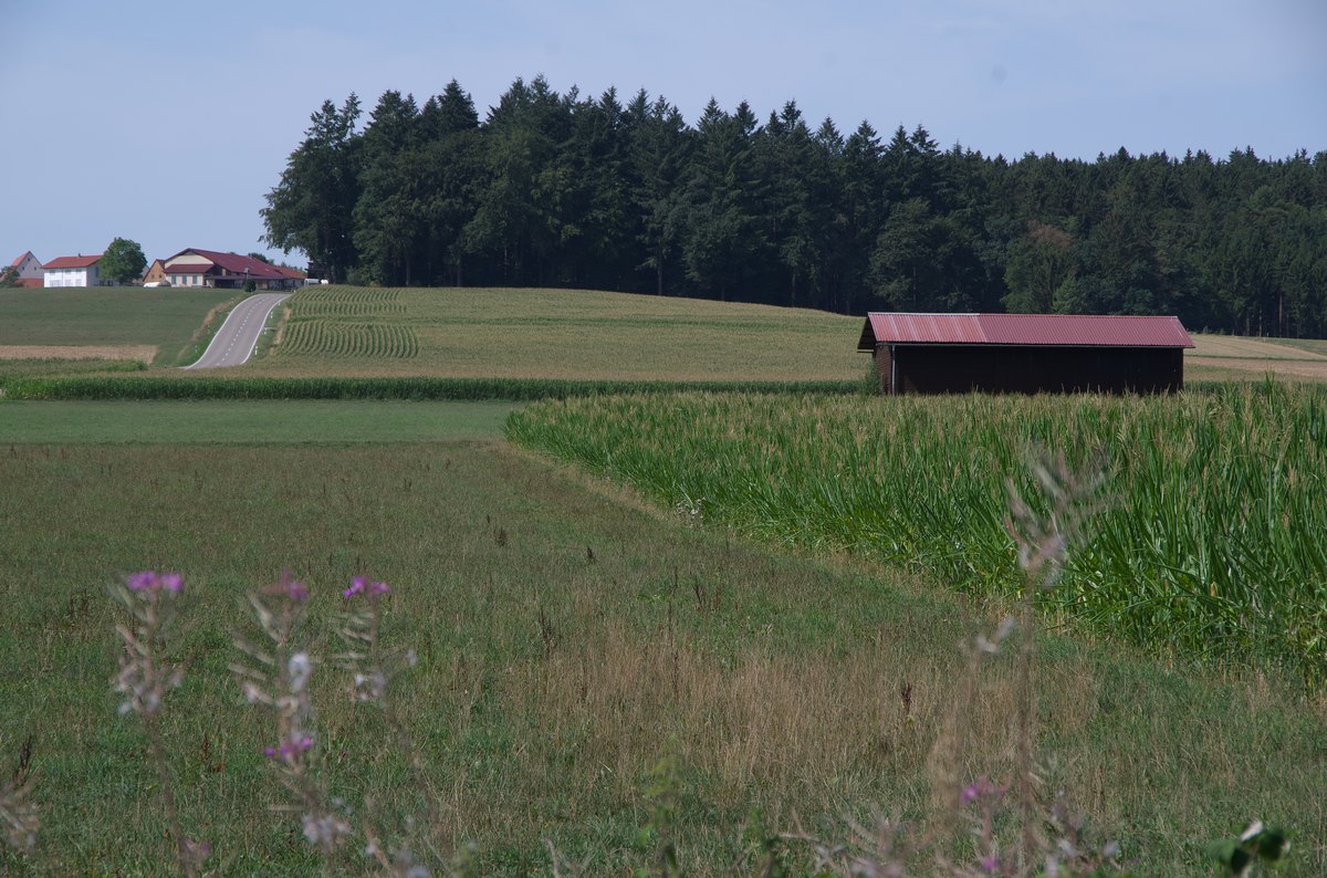 imgp9008.jpg